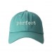 PERFECT Dad Hat Embroidered Completeness Flawless Baseball Caps  Many Available  eb-52779258